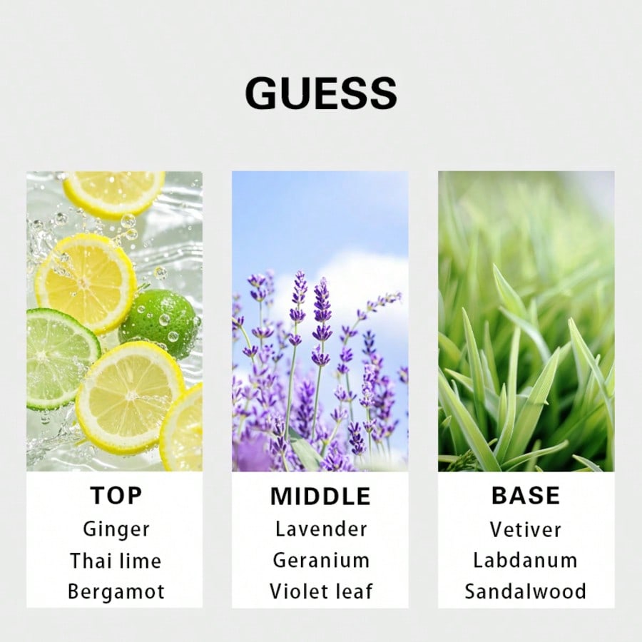 Guess Forever Men Eau De Toile – Perfume Long Fragrance recenzja i cena